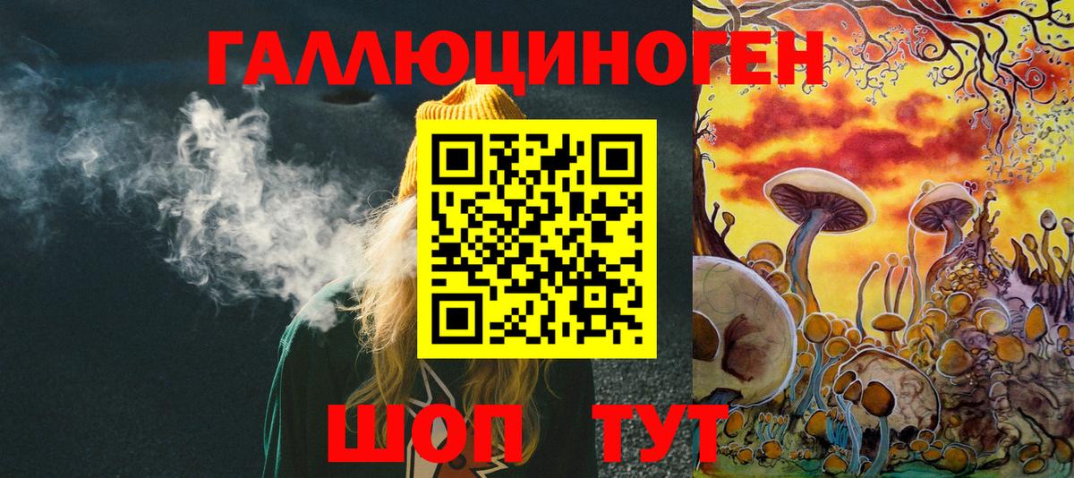 Псилоцибиновые грибы Cubensis Краснокаменск